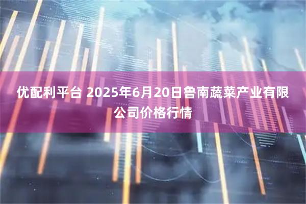优配利平台 2025年6月20日鲁南蔬菜产业有限公司价格行情