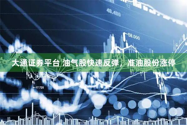 大通证券平台 油气股快速反弹，准油股份涨停