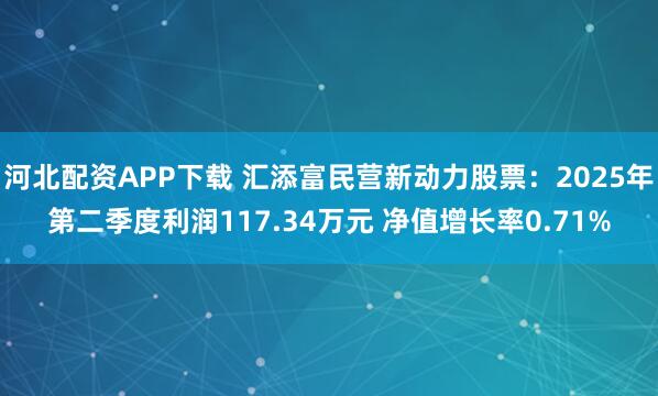 河北配资APP下载 汇添富民营新动力股票：2025年第二季度利润117.34万元 净值增长率0.71%