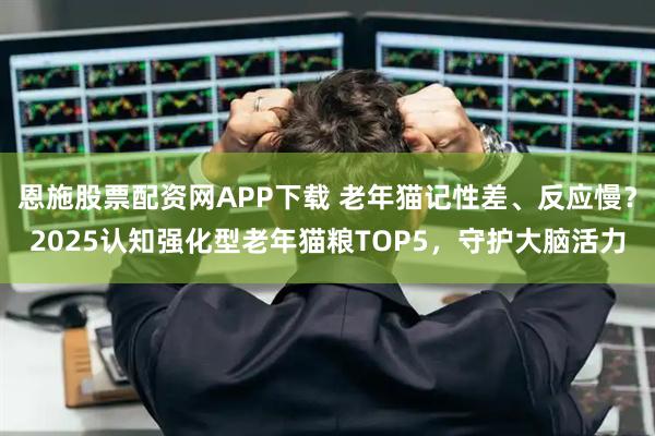 恩施股票配资网APP下载 老年猫记性差、反应慢？2025认知强化型老年猫粮TOP5，守护大脑活力