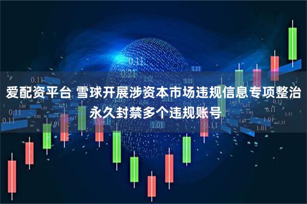 爱配资平台 雪球开展涉资本市场违规信息专项整治 永久封禁多个违规账号