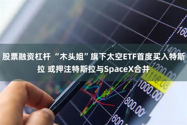 股票融资杠杆 “木头姐”旗下太空ETF首度买入特斯拉 或押注特斯拉与SpaceX合并