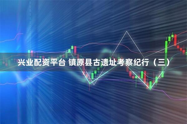 兴业配资平台 镇原县古遗址考察纪行（三）